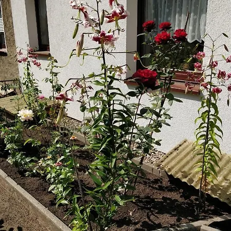 Gaestehaus Am Teich Lejlighed *