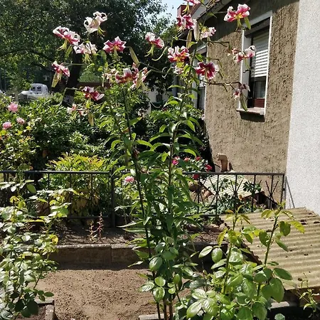 Lägenhet Gaestehaus Am Teich Raben Steinfeld
