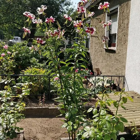 Apartment Gaestehaus Am Teich Raben Steinfeld