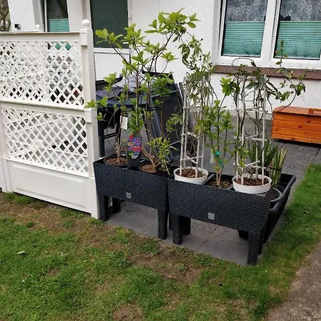 Gaestehaus Am Teich * Raben Steinfeld