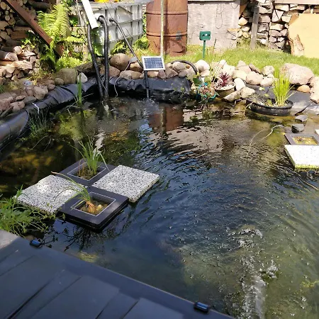 דירה Gaestehaus Am Teich Raben Steinfeld