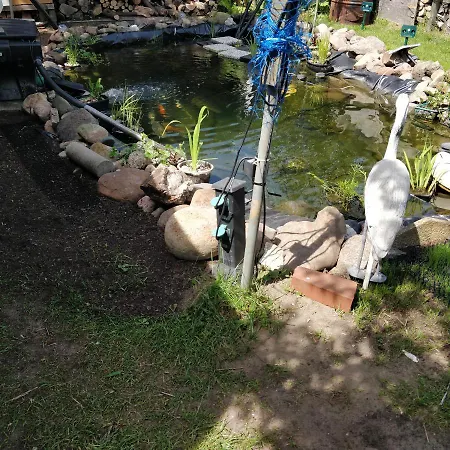 דירה Gaestehaus Am Teich Raben Steinfeld
