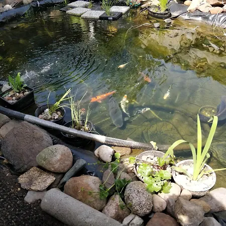 Gaestehaus Am Teich דירה *