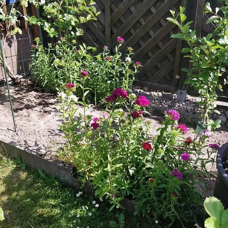 Lejlighed Gaestehaus Am Teich