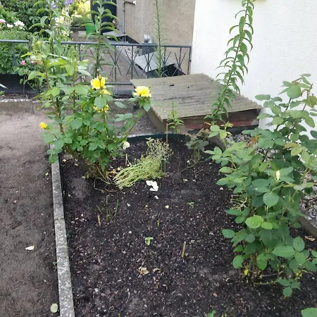 Gaestehaus Am Teich *