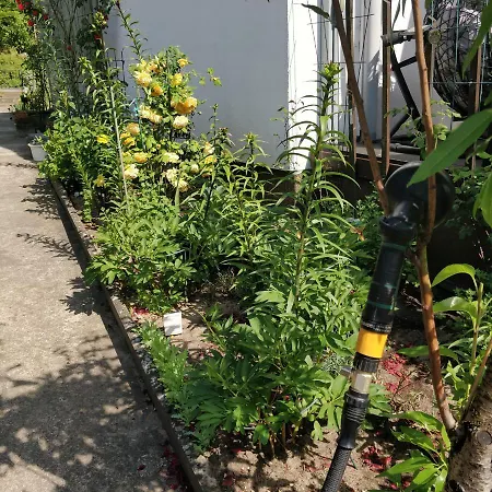 Gaestehaus Am Teich *