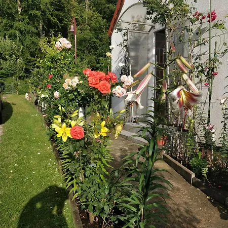 Gaestehaus Am Teich Raben Steinfeld