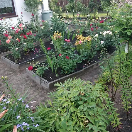 Gaestehaus Am Teich Raben Steinfeld