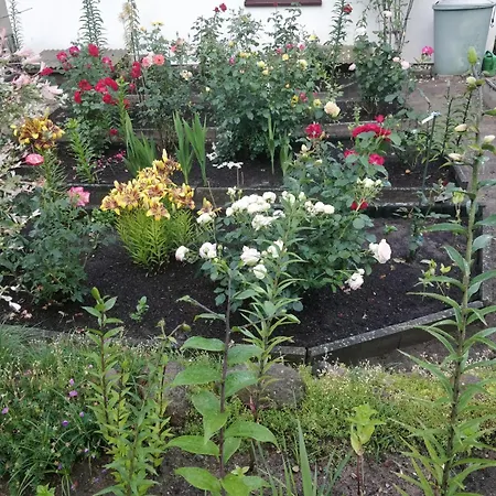 Lejlighed Gaestehaus Am Teich Raben Steinfeld