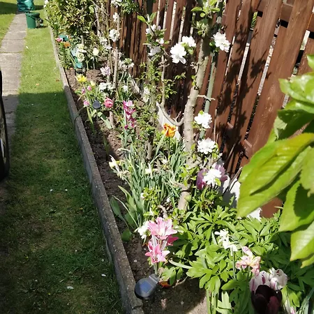 Lejlighed Gaestehaus Am Teich Raben Steinfeld