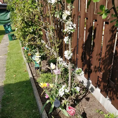 Gaestehaus Am Teich Lejlighed *