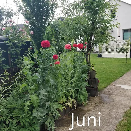 Gaestehaus Am Teich Apartamento Raben Steinfeld