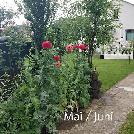 Apartment Gaestehaus Am Teich *