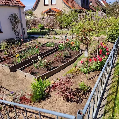 Gaestehaus Am Teich Lägenhet Raben Steinfeld