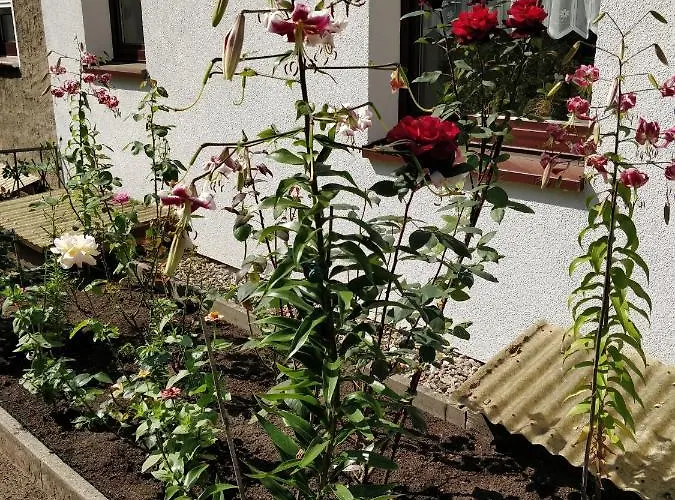 Gaestehaus Am Teich Apartamento *