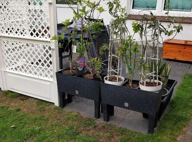 Gaestehaus Am Teich * Raben Steinfeld