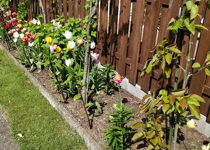 Gaestehaus Am Teich *