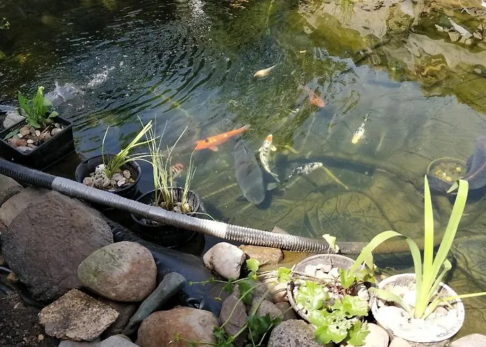 Gaestehaus Am Teich Apartamento *