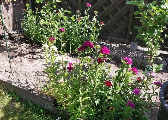 Apartamento Gaestehaus Am Teich