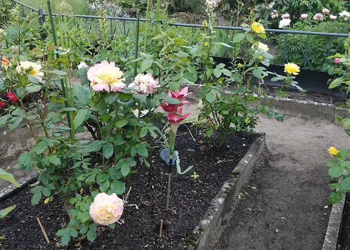 Apartamento Gaestehaus Am Teich