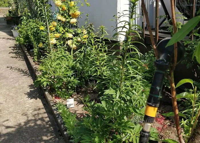 Gaestehaus Am Teich *