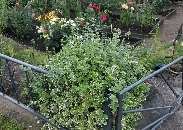 Gaestehaus Am Teich * Raben Steinfeld