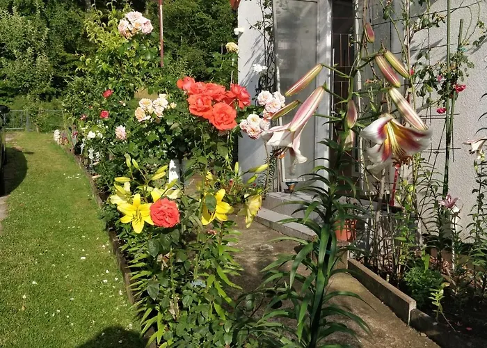 Gaestehaus Am Teich Raben Steinfeld