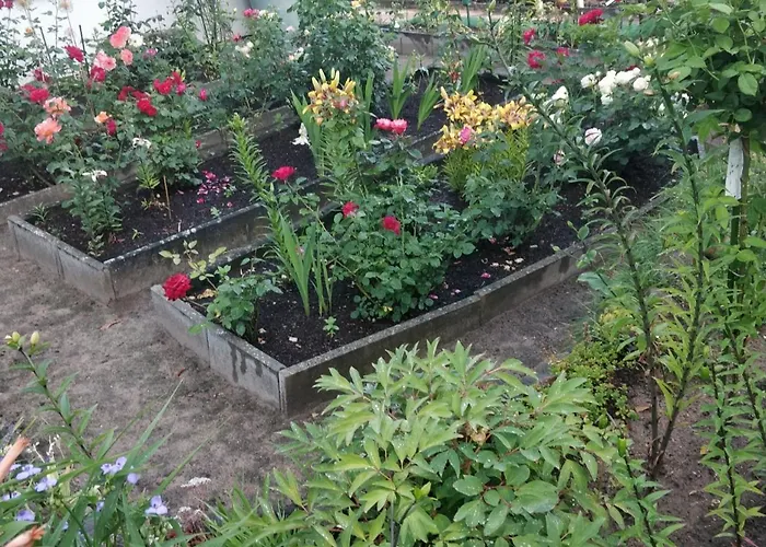 Gaestehaus Am Teich Raben Steinfeld