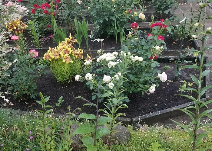 Apartamento Gaestehaus Am Teich Raben Steinfeld