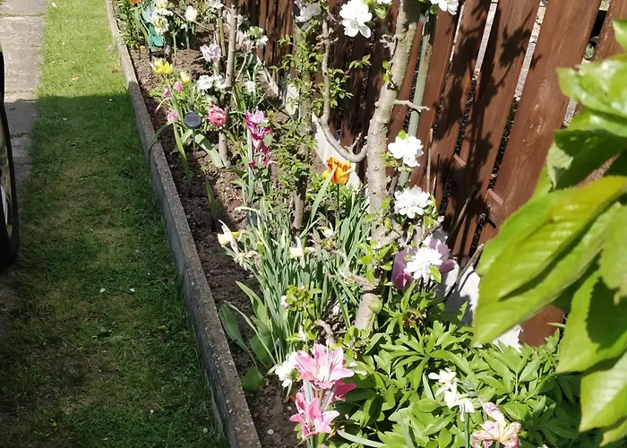 Apartamento Gaestehaus Am Teich Raben Steinfeld