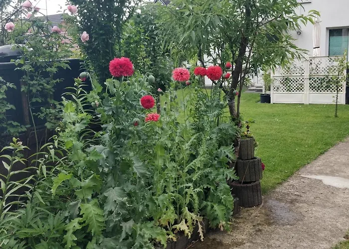 Gaestehaus Am Teich Apartamento Raben Steinfeld