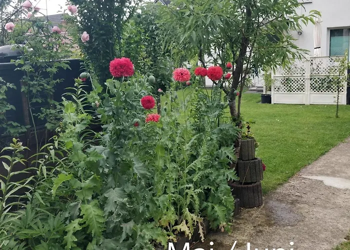 Apartamento Gaestehaus Am Teich *